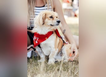 Elenora - sanft & sensibel