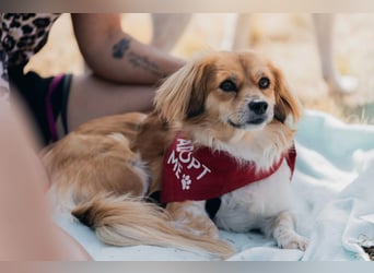 Elenora - sanft & sensibel