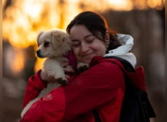 KIBA-ist verspielt und verschmust… ach, sie ist einfach zum Verlieben