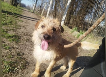 Titi kam verletzt ins Tierheim und hat sich prima erholt !
