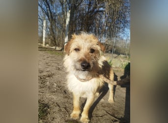 Titi kam verletzt ins Tierheim und hat sich prima erholt !