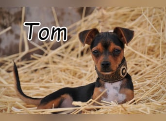 Verliebst du dich in Tom?