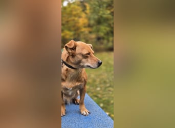 Wendy sucht ein neues Wendy sucht ein neues
