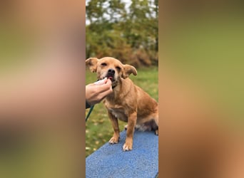 Wendy sucht ein neues Wendy sucht ein neues