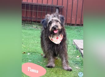Yuna - verspielt und neugierig