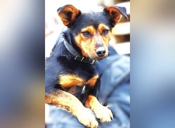 FLOCKY ist der Liebling aller