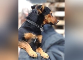 FLOCKY ist der Liebling aller