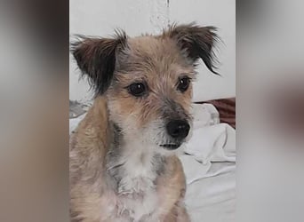 Alice - manchmal noch etwas widerspenstig