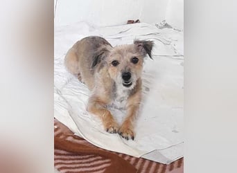 Alice - manchmal noch etwas widerspenstig