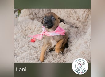 Loni sucht ein Zuhause