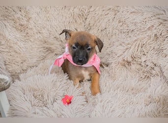 Loni sucht ein Zuhause