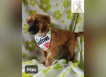 Max – Das Leben wartet. Worauf eigentlich noch!