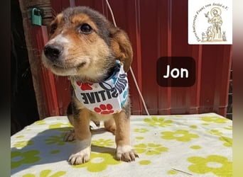 Jon – Kleine Pfoten, große Pläne und ein Herz voller Neugier!