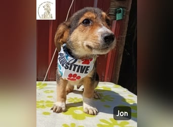 Jon – Kleine Pfoten, große Pläne und ein Herz voller Neugier!