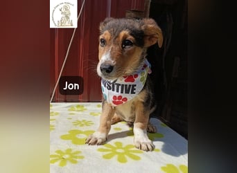 Jon – Kleine Pfoten, große Pläne und ein Herz voller Neugier!