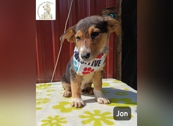 Jon – Kleine Pfoten, große Pläne und ein Herz voller Neugier!