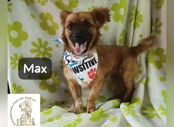 Max – Das Leben wartet. Worauf eigentlich noch!
