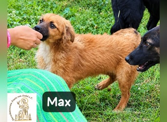 Max – Das Leben wartet. Worauf eigentlich noch!