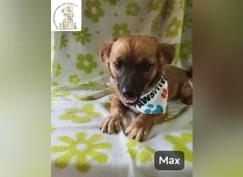 Max – Das Leben wartet. Worauf eigentlich noch!