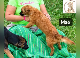 Max – Das Leben wartet. Worauf eigentlich noch!
