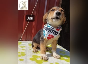 Jon – Kleine Pfoten, große Pläne und ein Herz voller Neugier!