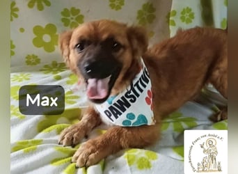Max – Das Leben wartet. Worauf eigentlich noch!