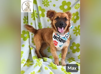 Max – Das Leben wartet. Worauf eigentlich noch!