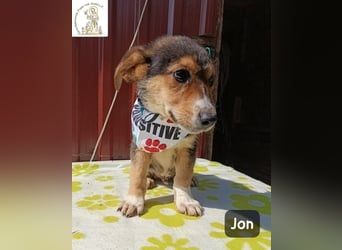 Jon – Kleine Pfoten, große Pläne und ein Herz voller Neugier!