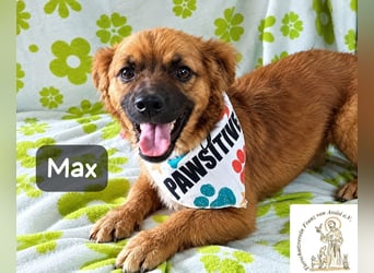 Max – Das Leben wartet. Worauf eigentlich noch!