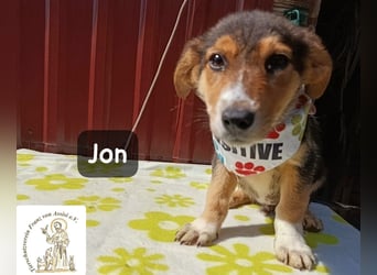 Jon – Kleine Pfoten, große Pläne und ein Herz voller Neugier!