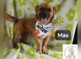 Max – Das Leben wartet. Worauf eigentlich noch!