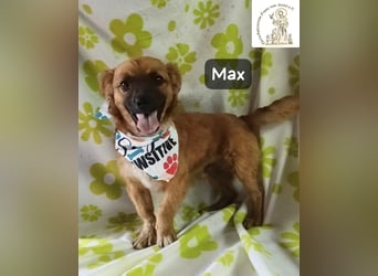 Max – Das Leben wartet. Worauf eigentlich noch!