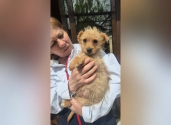 Polly ist bereit für ihr Abenteuer