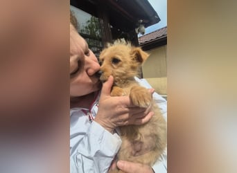 Polly ist bereit für ihr Abenteuer