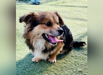 Mini Mäuschen Stella