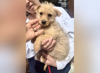 Polly ist bereit für ihr Abenteuer