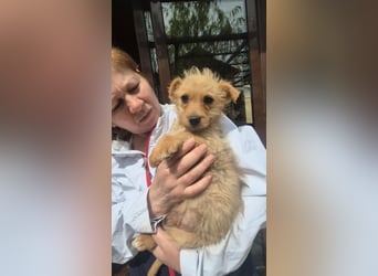 Polly ist bereit für ihr Abenteuer