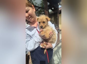 Polly ist bereit für ihr Abenteuer