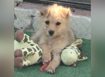 Polly ist bereit für ihr Abenteuer