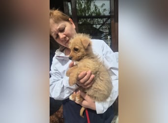 Polly ist bereit für ihr Abenteuer