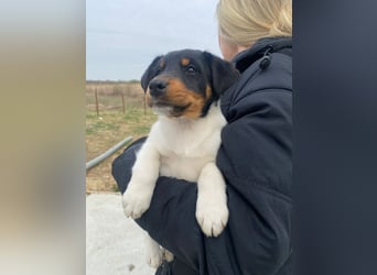 Eliza ist bereit für dich