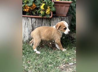 Olivi sucht ihre allererste Familie