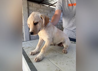 Tokio sucht nach dir