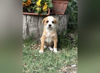 Olivi sucht ihre allererste Familie