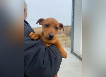 Elli möchte Kuscheln