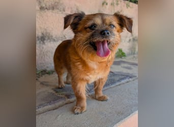 Menschenbezogene Senioren Pixie wartet in 49324 Melle auf dich!