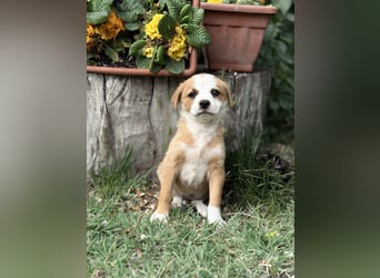 Olivi sucht ihre allererste Familie