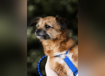 Menschenbezogene Senioren Pixie wartet in 49324 Melle auf dich!