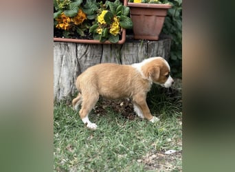 Olivi sucht ihre allererste Familie
