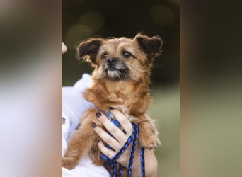 Menschenbezogene Senioren Pixie wartet in 49324 Melle auf dich!